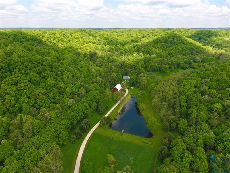 Secluded Farmhouse W/ Hunting Land : Richland Center : Richland County : Wisconsin