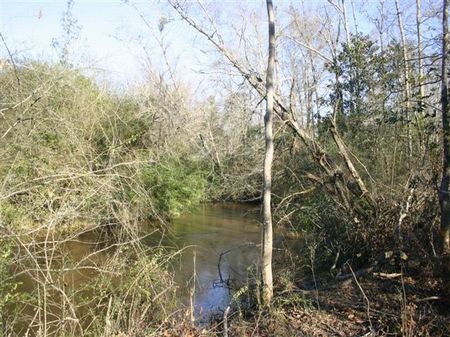 112 Acres : Mt. Olive : Covington County : Mississippi