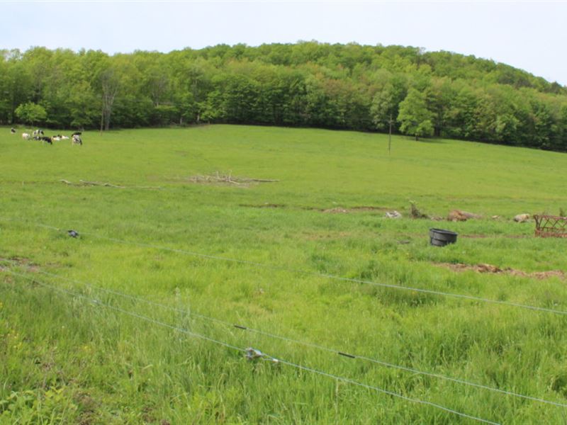 28 Acres Organic Farmland in Ny : Danby : Tompkins County : New York