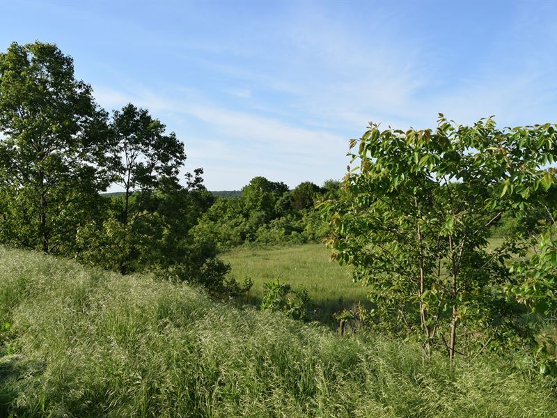 Willow Road 80 : Bronson : Bourbon County : Kansas