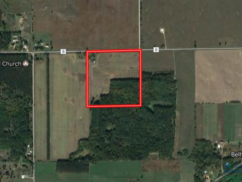 Buildable 40 Acres in Marquette Cty : Dalton : Marquette County : Wisconsin