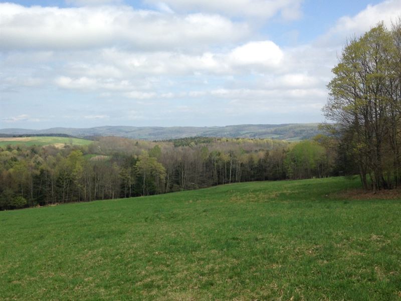 93 Acre Hunting Camp : Edmeston : Otsego County : New York