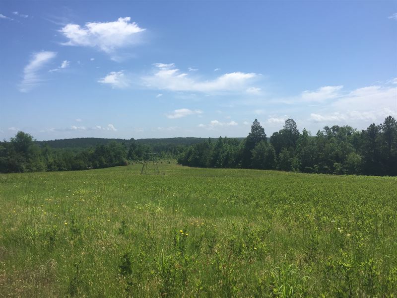 Ruckersville Farm : Elberton : Elbert County : Georgia