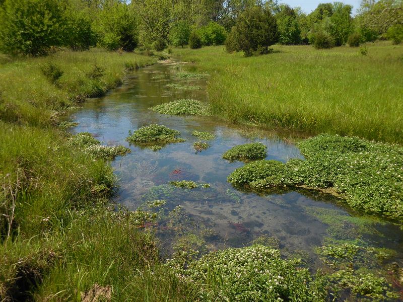 26+ Acres with Stream : Stephens City : Frederick County : Virginia