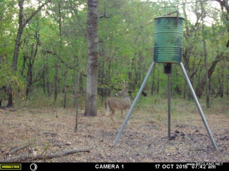 14.9 Ac - Hunting Tract Near Commer : Commerce : Hunt County : Texas