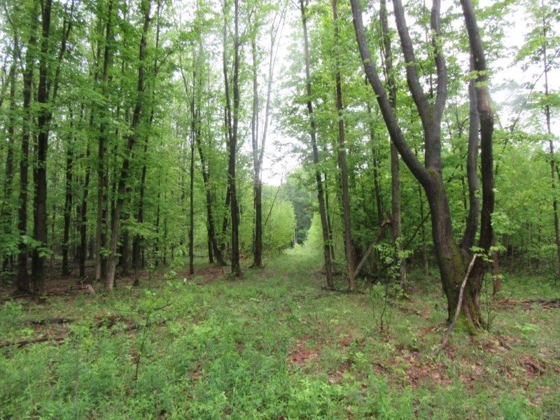 142 Acres Syracuse Ny Lake Ontario : Palermo : Oswego County : New York