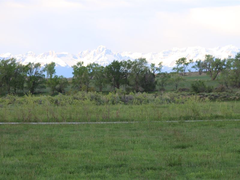 Circle H Ranches : Montrose : Montrose County : Colorado