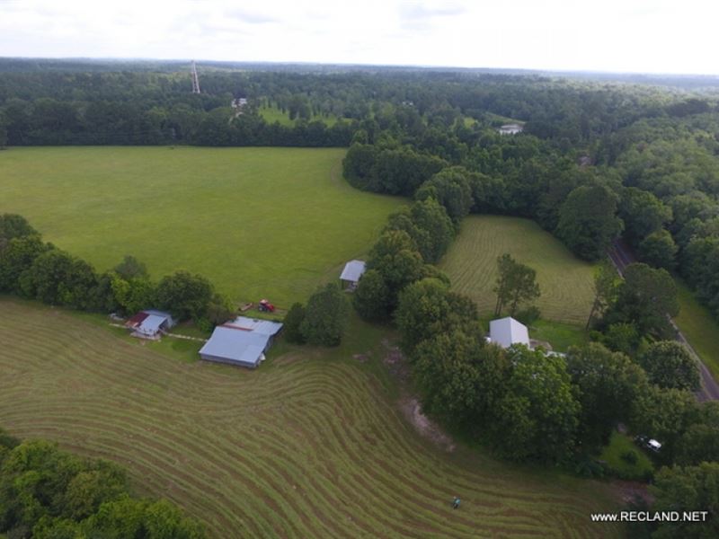 48 Ac - Pasture & Homes Near To : Jasper : Jasper County : Texas
