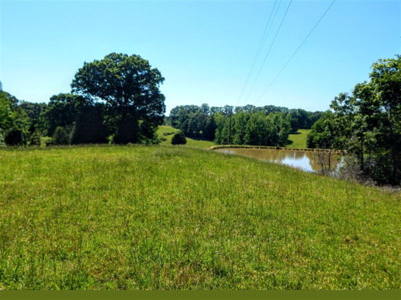 279 Acres, Pond, Barn, Fencing : Bruceton : Carroll County : Tennessee