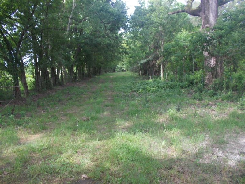 Great Residential And/Or Hunting : Millbrook : Elmore County : Alabama
