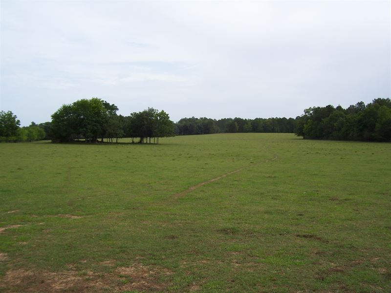 Beautiful Farm in The Country : Blakely : Early County : Georgia