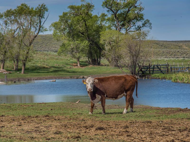 Big Sky Ranch, Ranch for Sale in Colorado, 125798 RANCHFLIP
