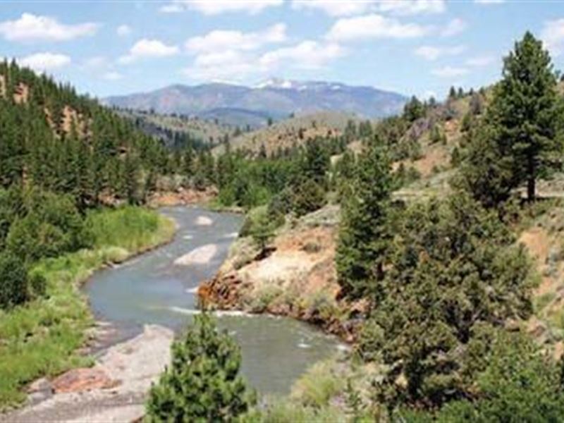 40 Ac. California Miningclaim River : Markleeville : Alpine County : California