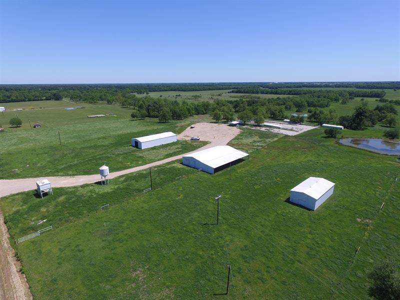 1145 Acre Farm : Paris : Lamar County : Texas