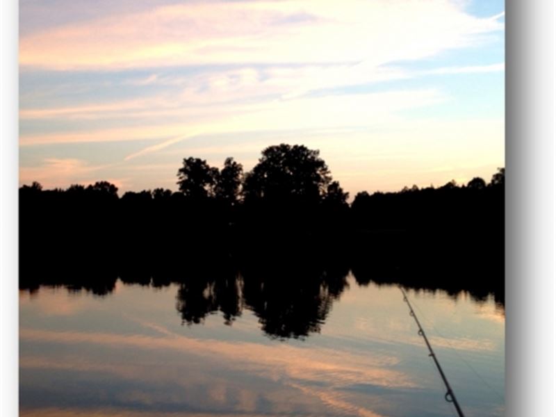 197.965 Acres in Calhoun County : Banner : Calhoun County : Mississippi