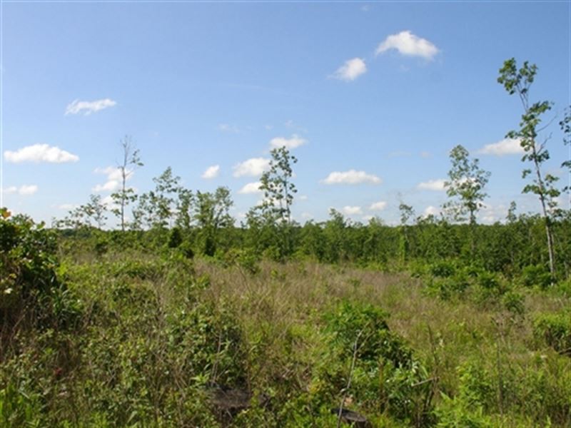 Missouri, Shannon County : Bunker : Shannon County : Missouri
