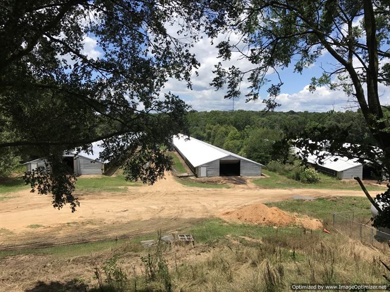 45+/- Ac Poultry Farm : Wesson : Copiah County : Mississippi