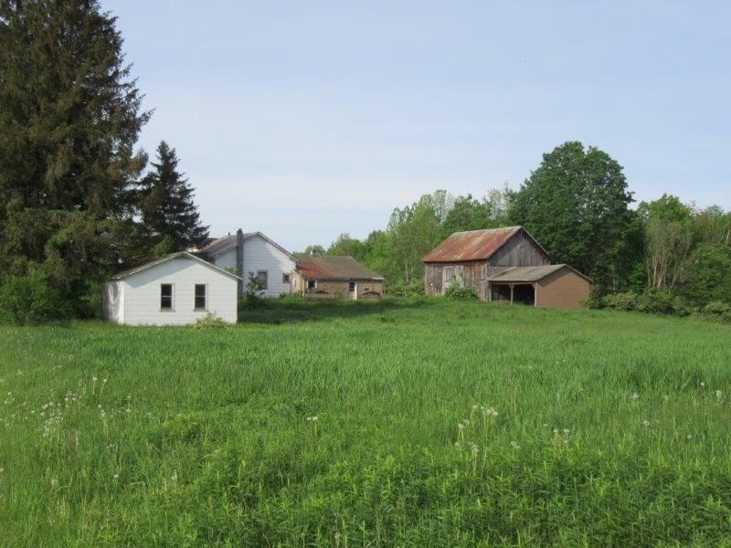 19 Acres Farmhouse and Farmland : Camden : Oneida County : New York