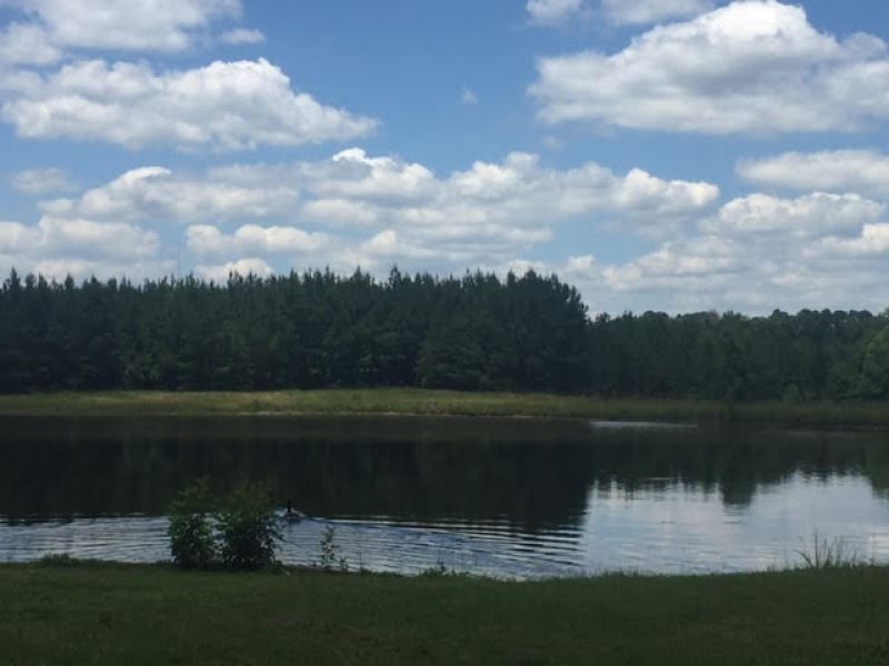 Residential Or Development Land For : Quitman : Clarke County : Mississippi