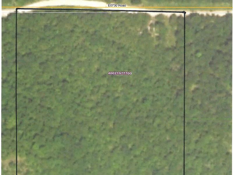 Heavily Wooded Land : Hulbert : Cherokee County : Oklahoma