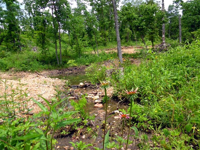 10 Acres with A Spring-Fed Pond : Norwood : Douglas County : Missouri