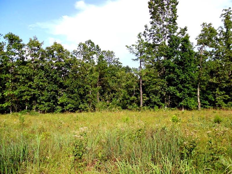 16 Acres with Great Hunting : Winona : Shannon County : Missouri