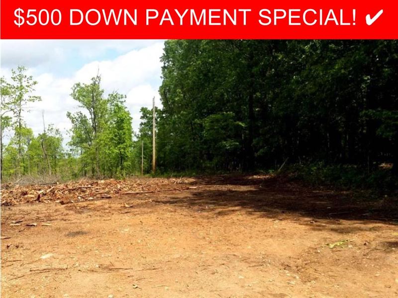 16.5 Acres Of Pure Freedom : Thornfield : Ozark County : Missouri
