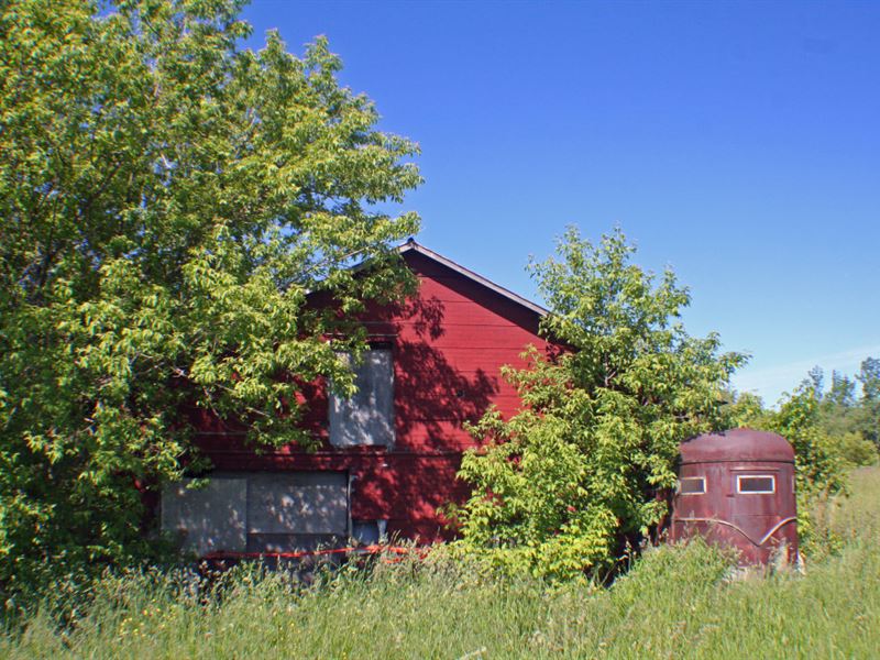 51 Acres Farm & Farmland Batavia Ny : Batavia : Genesee County : New York