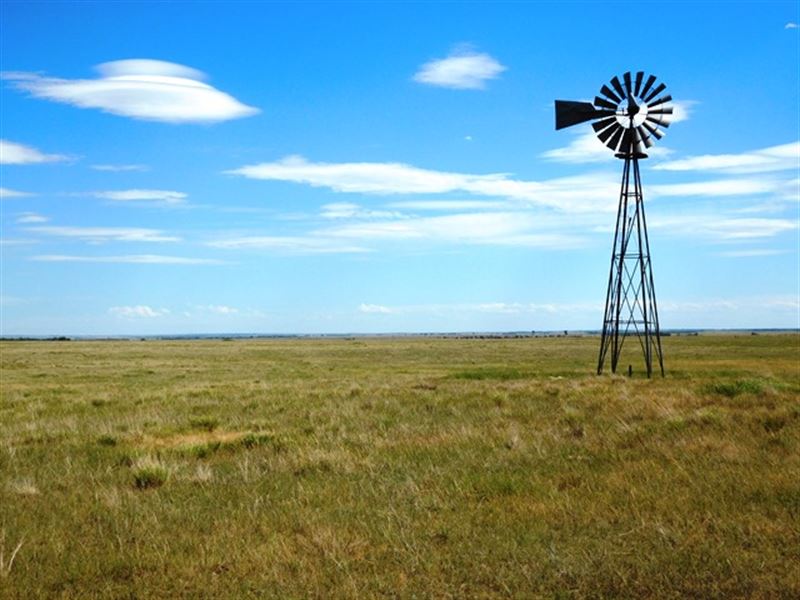 Pasture Land Auction in Sd : Highmore : Hyde County : South Dakota