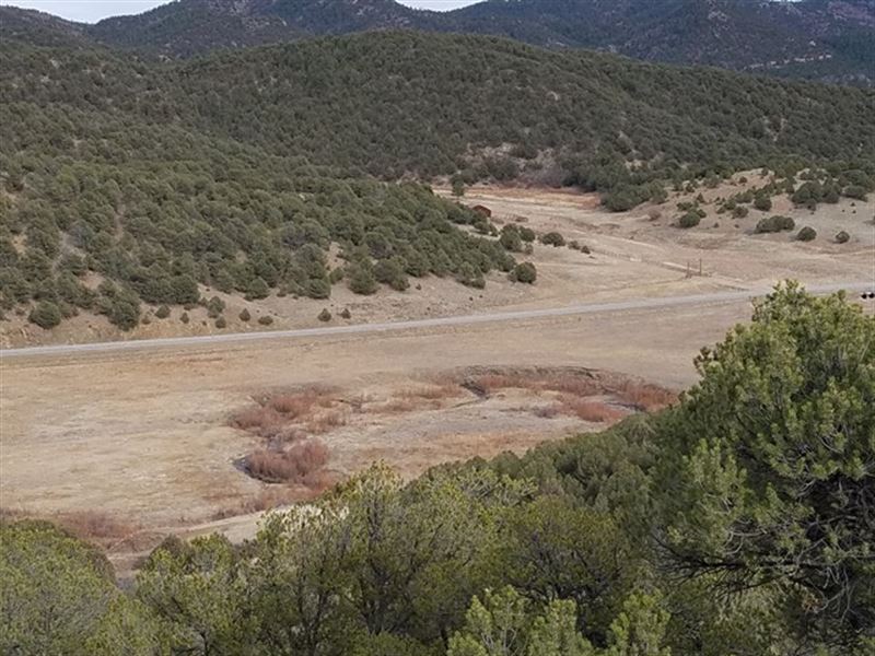 Mountain Views + Grazing Land : Canon City : Fremont County : Colorado