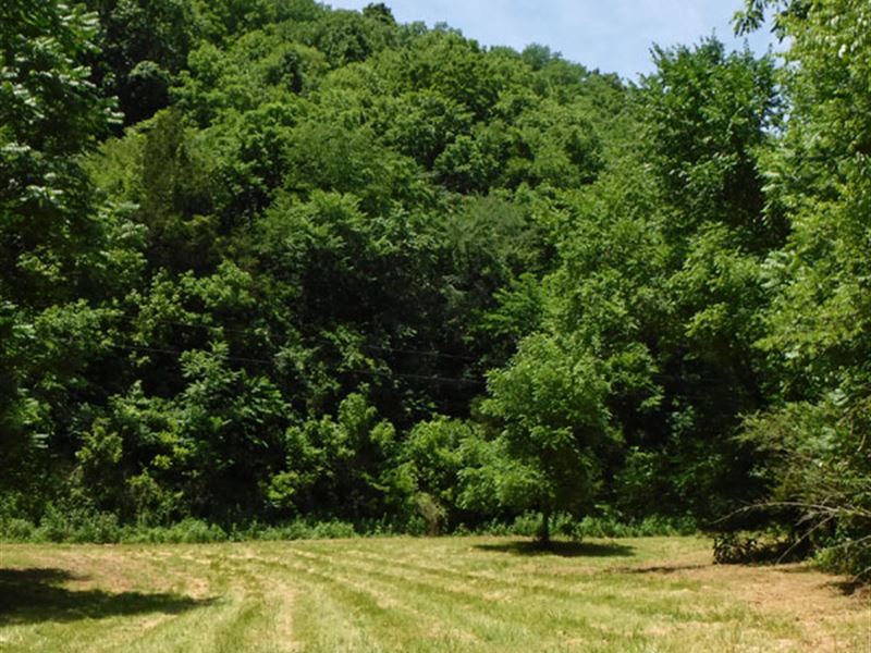 161 Acres in Jackson County : Gainesboro : Jackson County : Tennessee