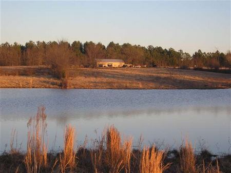261+ Acre Combo Ranch / Hunting : Avery : Red River County : Texas