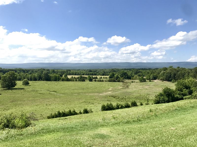 Cattle Farm and 2200 Sq Ft Home : Briggsville : Yell County : Arkansas