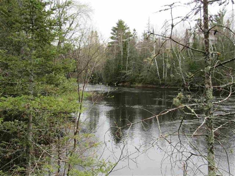 34 Acres Off Willet Ln : Republic : Marquette County : Michigan