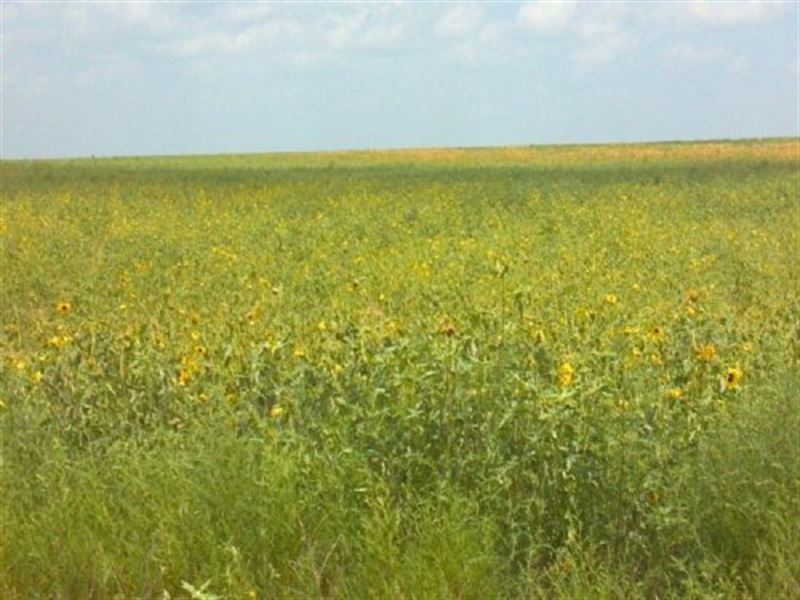 517 Acre Crp Farm High Return : Boone : Pueblo County : Colorado