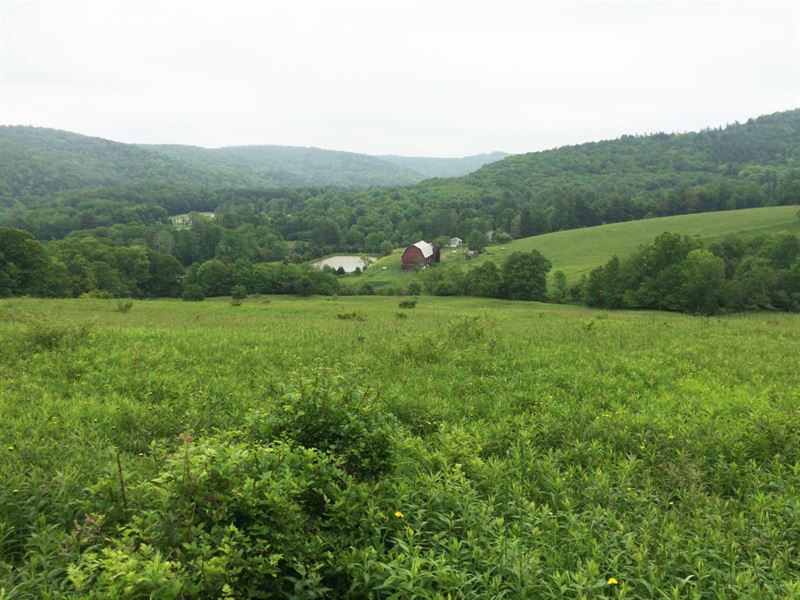 237 Acres Farm Genesee Ny Organic : Genessee : Allegany County : New York