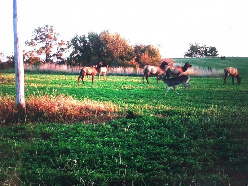 Smith Falls Hunting Haven : Valentine : Cherry County : Nebraska