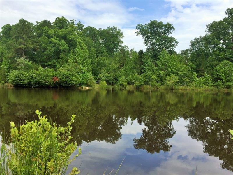 Double Wells Tract : Crawfordville : Taliaferro County : Georgia