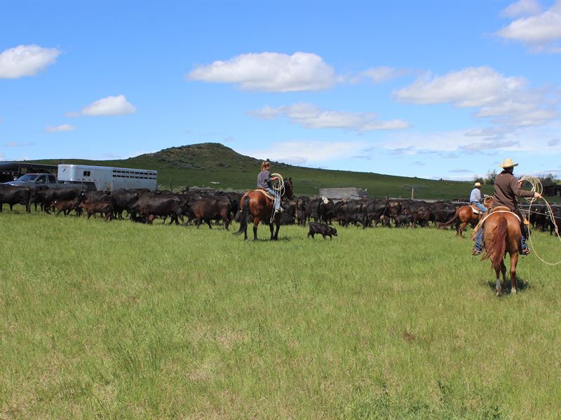 Otter Creek Ranch : Ashland : Powder River County : Montana