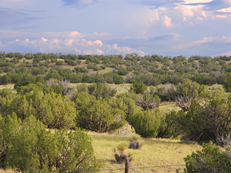 Scenic Az Wilderness Ranch : Saint Johns : Apache County : Arizona