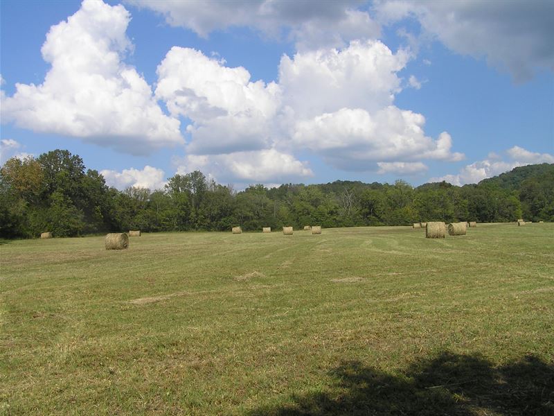 14 Acres, Meadow, Woods, Creek : Pikeville : Bledsoe County : Tennessee
