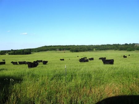 Stunning Cattle Ranch 3259 Acres : Centrahoma : Coal County : Oklahoma