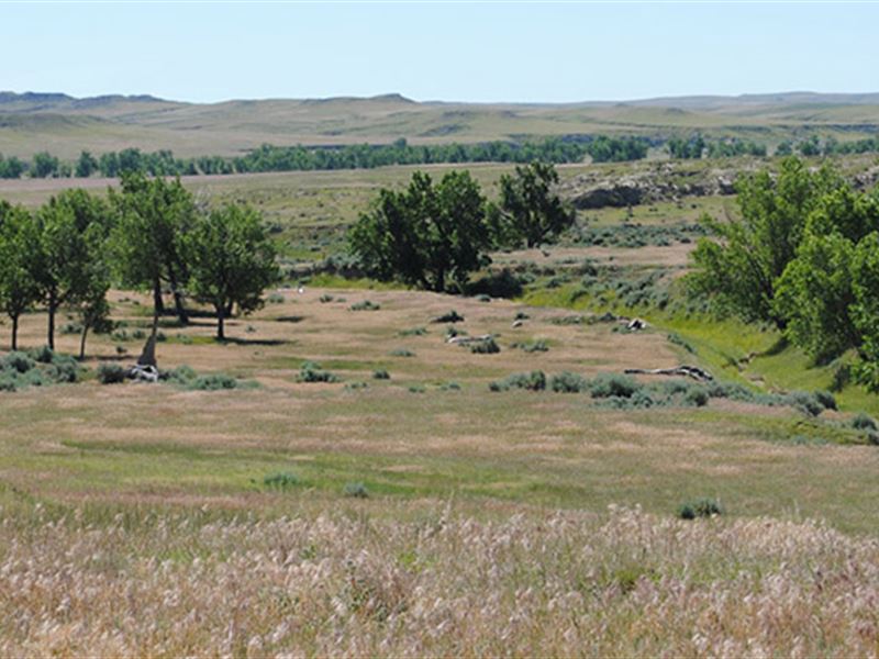 Peterson Ranch : Lance Creek : Niobrara County : Wyoming