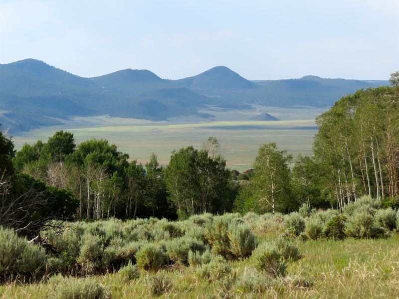 Hidden Jewel Lodge & Property : Amalia : Taos County : New Mexico