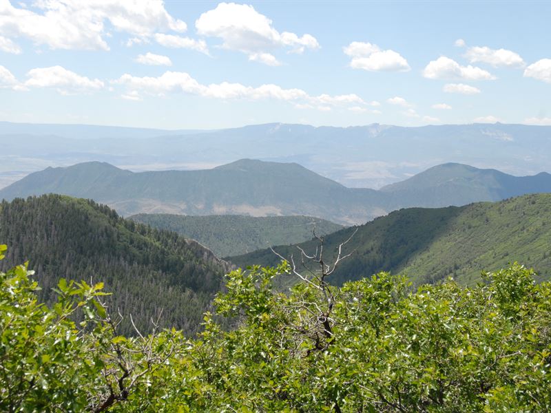 West Elk Creek Ranch : Silt : Garfield County : Colorado