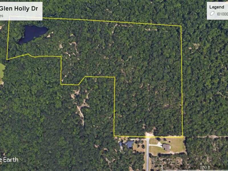 Beautiful, Timber, Pond, Paved Road : Macon : Bibb County : Georgia