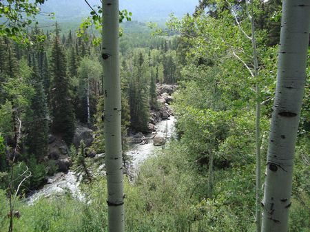 Cj&l Ranch : Cimarron : Gunnison County : Colorado