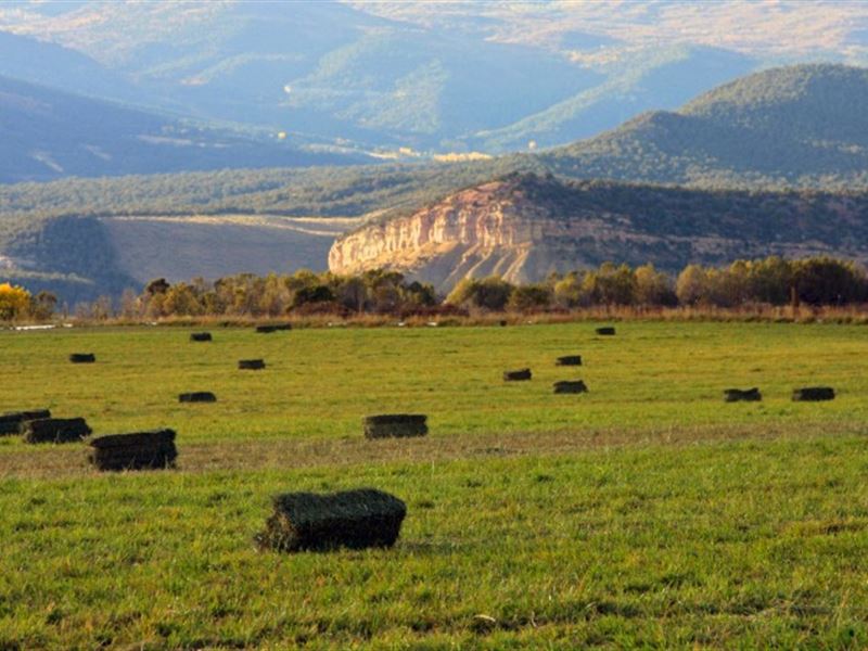 Shadow Mesa Ranch : Cedaredge : Delta County : Colorado