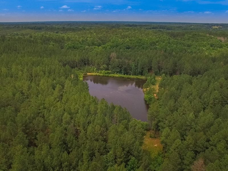 180 Acres Of Mature Timber & Pond : Great Falls : Chester County : South Carolina