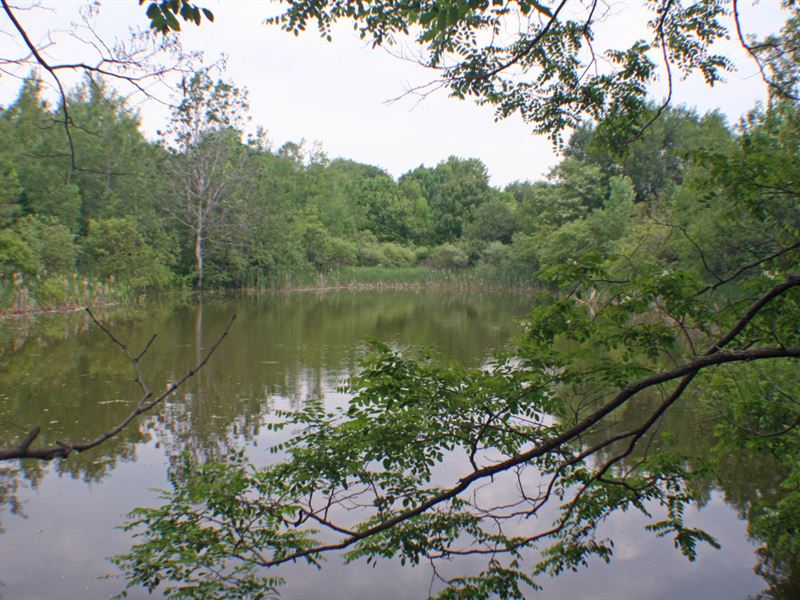 10 Acre Springwater Ny Hemlock Lake, Ranch for Sale in New York